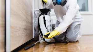 Best Real Estate Pest Inspections  in Chinchilla, PA